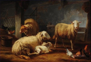 ovejas y pollos en el granero Pinturas al óleo